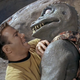 Illustration for article titled The Rubbery, Goofy Gorn Will Be the emStar Trek/em Games Main Bad Guys